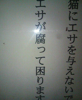 20080921130735