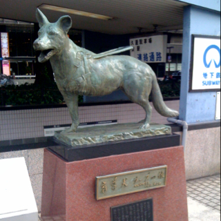名古屋徘徊１