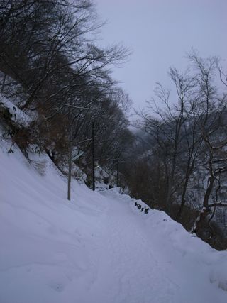 R0018197