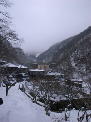 R0018206