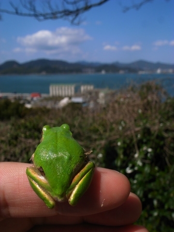 20090330190518