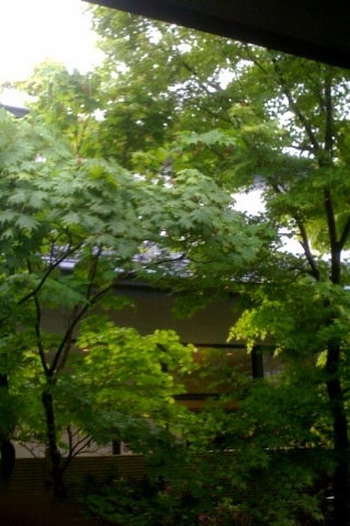 20090506083412