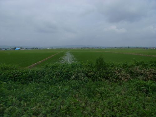 R1048803