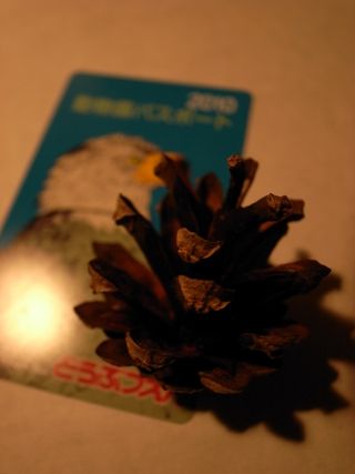R1048901