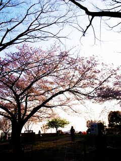 R0018428