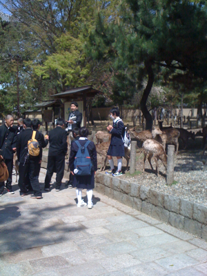東大寺は