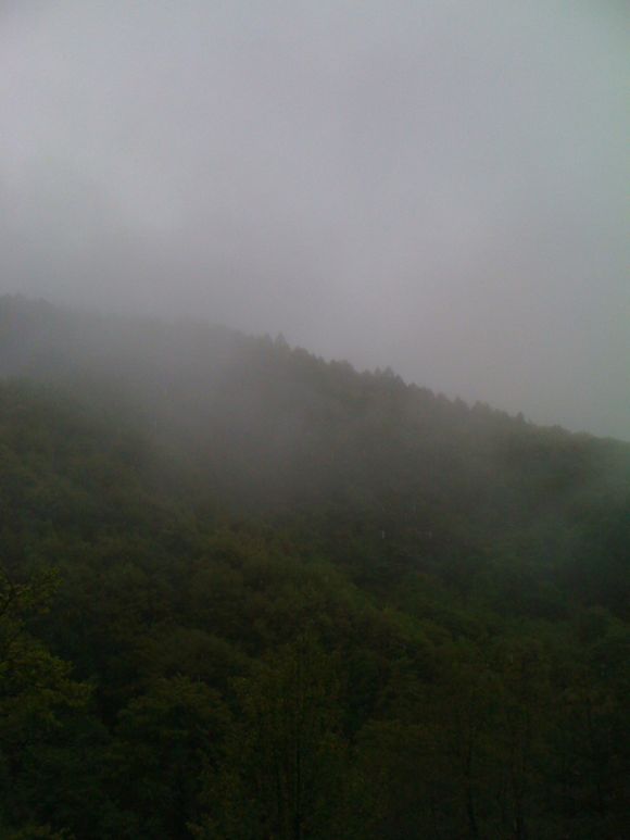 今日も