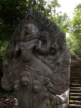 R1051678