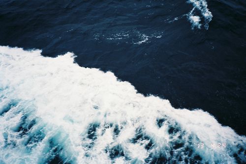 Yakushima_05