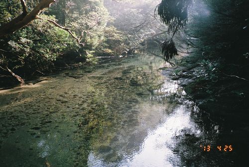 Yakushima_08