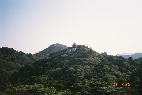 Yakushima_11