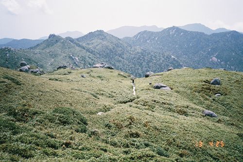 Yakushima_16