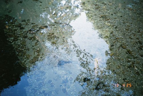 Yakushima_09