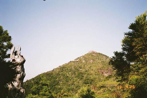 Yakushima_10