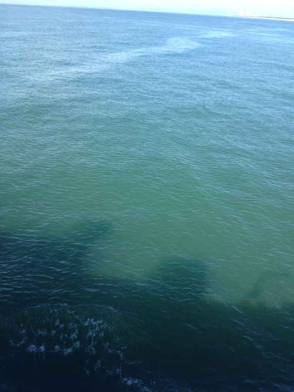 海は穏やかです