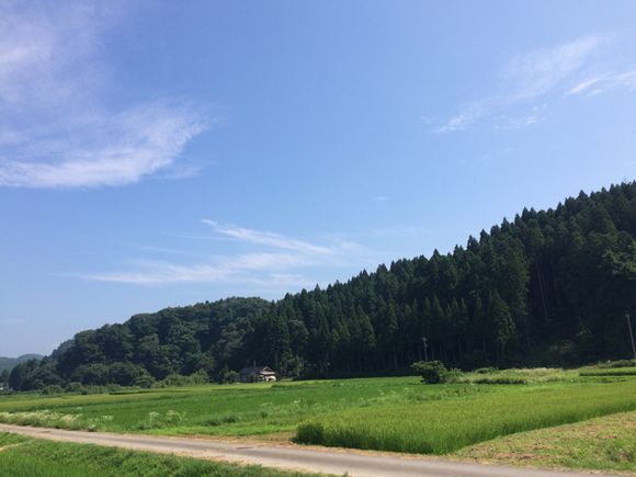 半島ハント