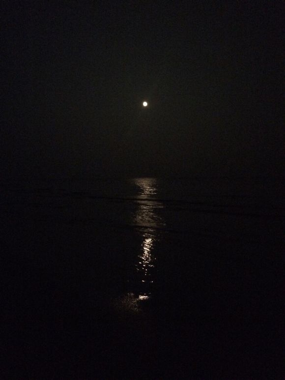 月夜の海辺で