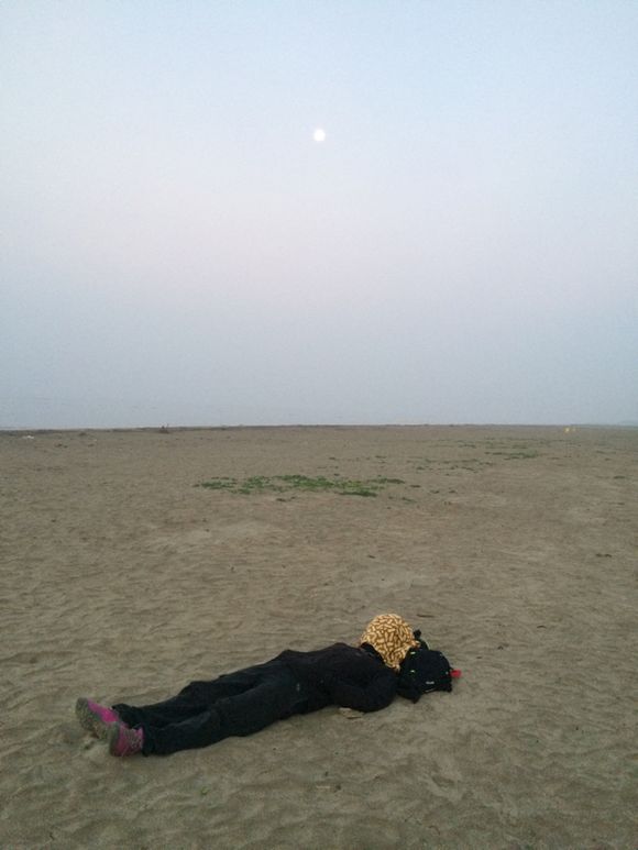 寝起きに突撃